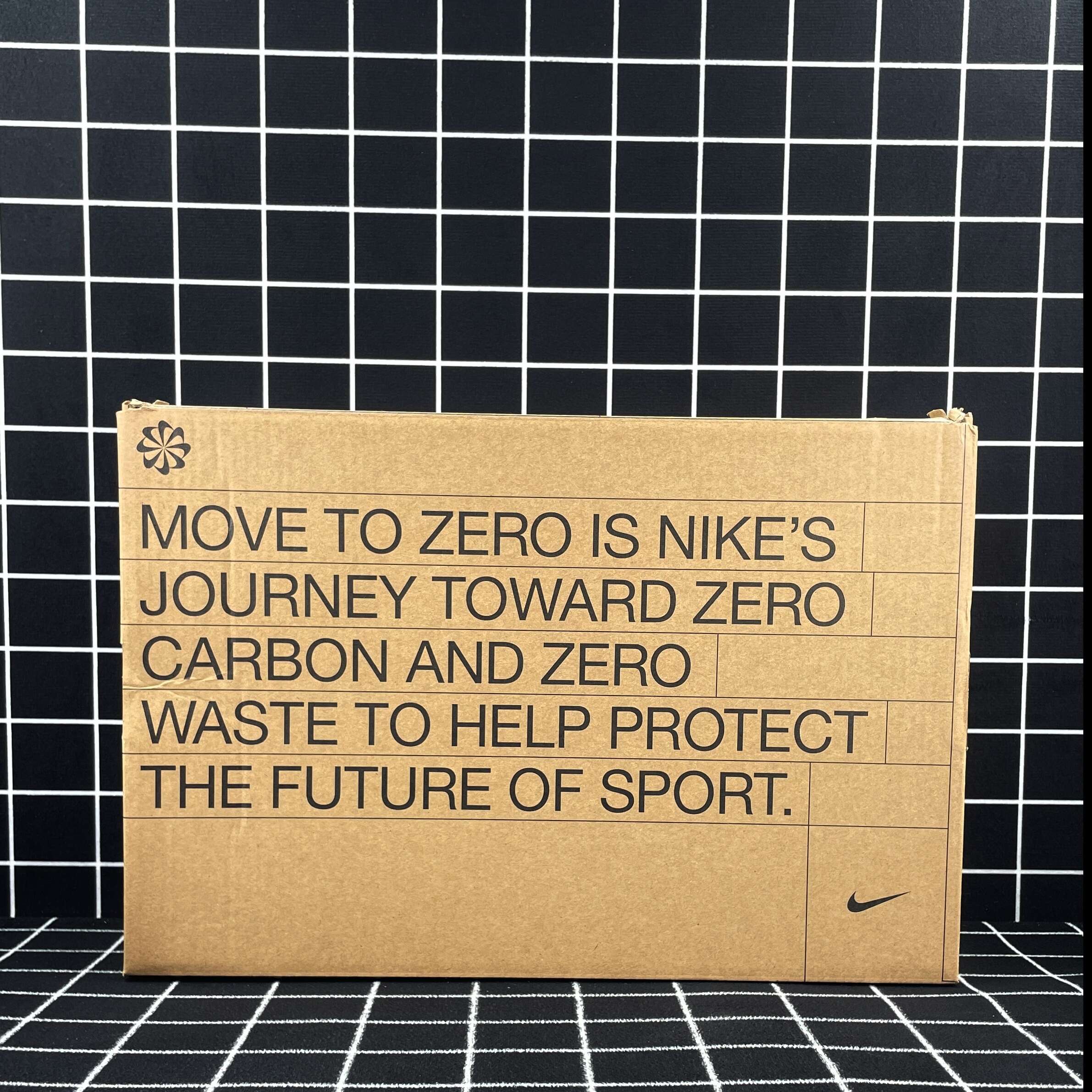 Nike Dunk Low Disrupt 2 Pale Ivory Replica