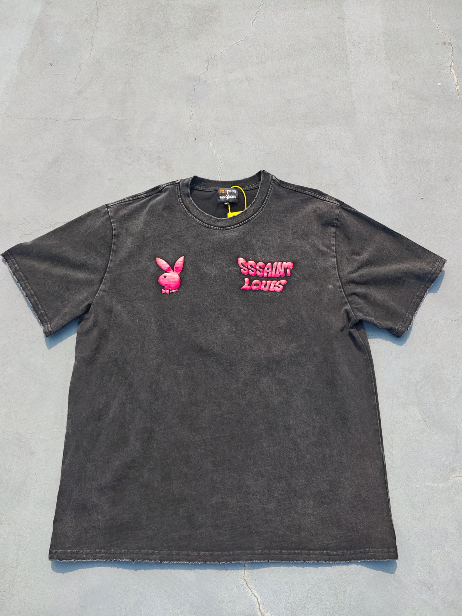 muggle monkey sssaint L**is joint tee