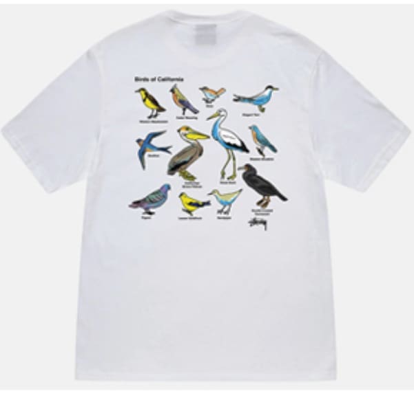 Stussy Crown Surfing Print Short Sleeve T-Shirt for Men and Women